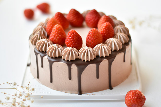 チョコレートデコレーションケーキ（5号） | COTOL CAKE AOYAMA