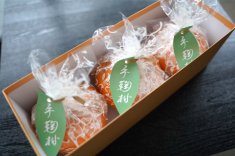 手鞠柑3個箱入り（※要冷蔵）（販売中） | 株式会社豆子郎